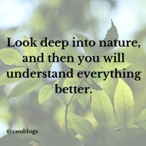 Look deep into the nature