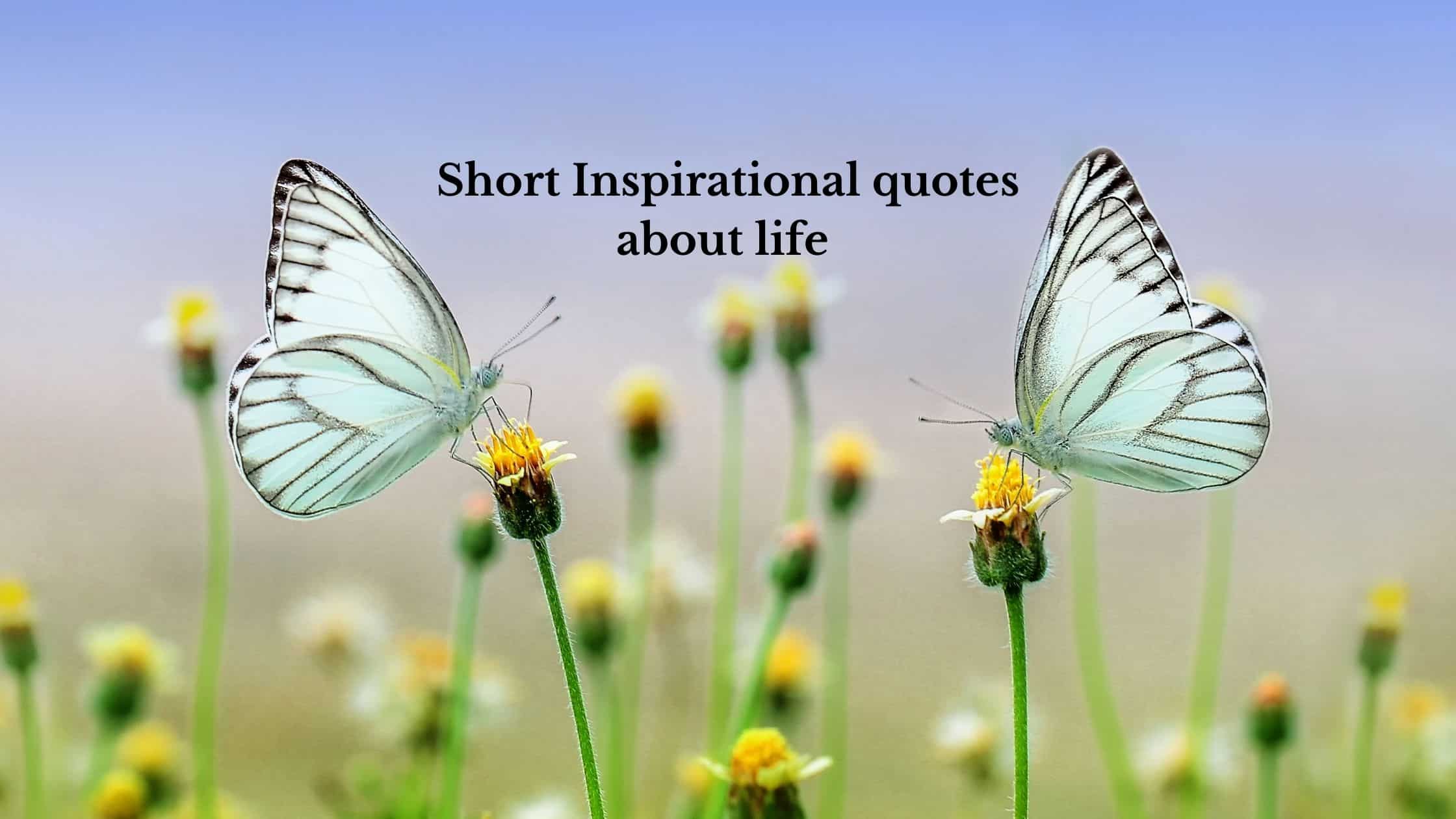 short inspirational quotes about life