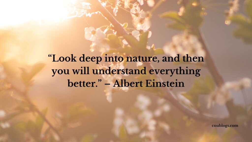 “Look deep into nature, and then you will understand everything better.” – Albert Einstein