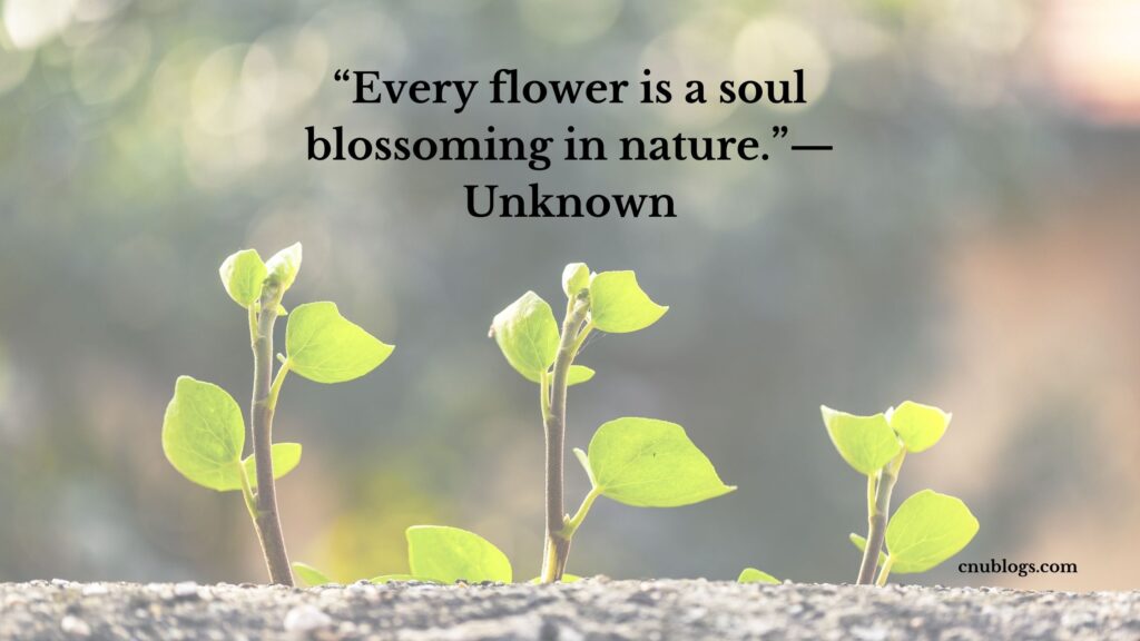 “Every flower is a soul blossoming in nature.”— Unknown