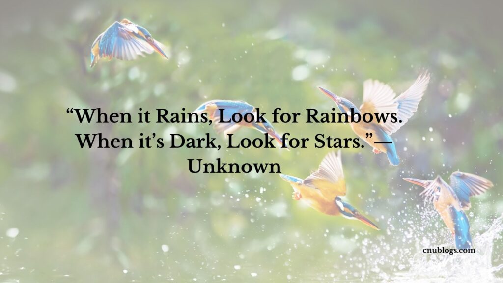 “When it Rains, Look for Rainbows. When it’s Dark, Look for Stars.”— Unknown
