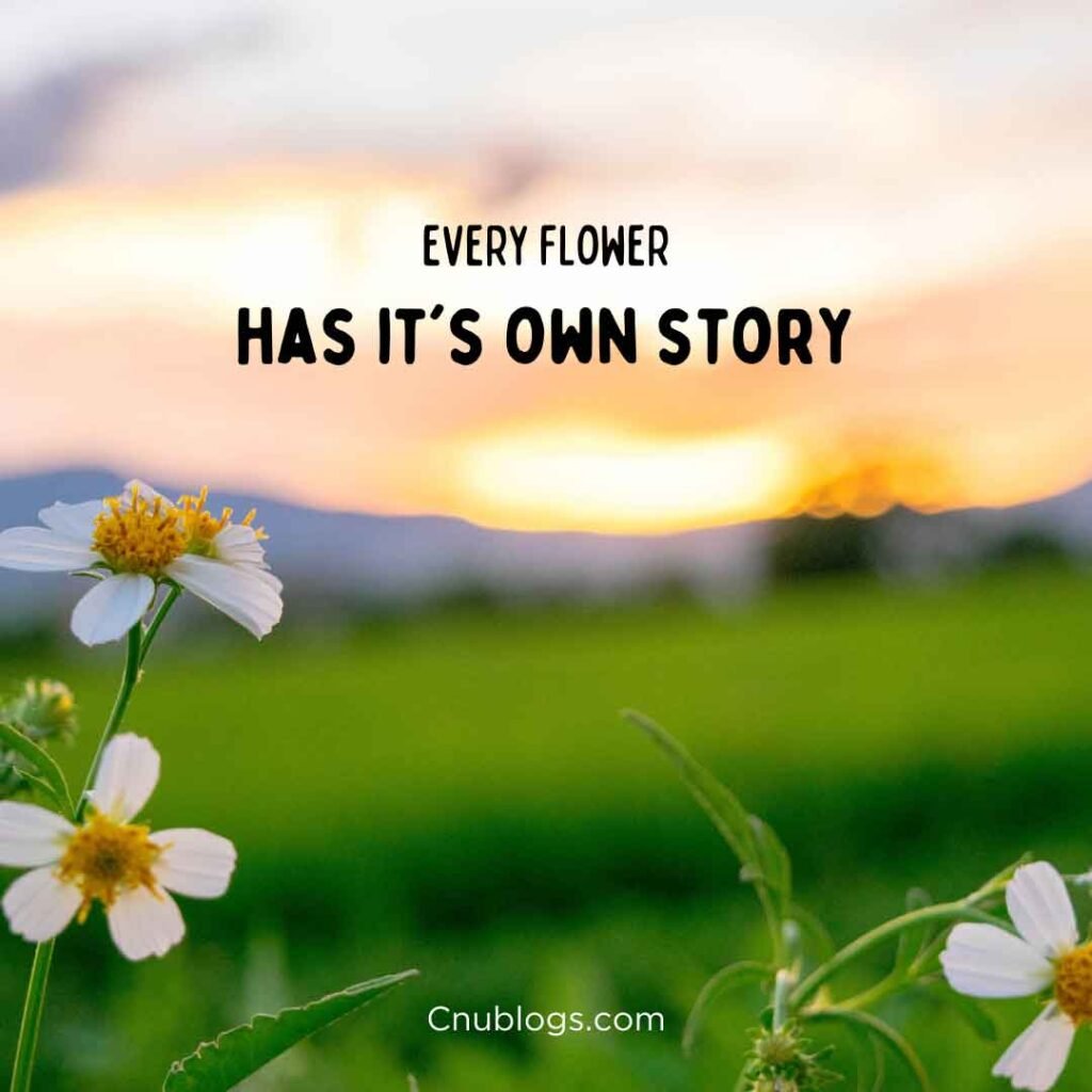 Inspirational love quotes