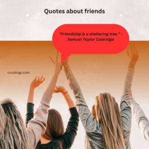 30+ Top attractive Quotes about friends Quotes about friends defines the beauty of a relationship of both the genders. Friends are the family we choose for ourselves. They are the people who stand by us through thick and thin, offering support, understanding, and laughter. True friends share our joys and sorrows, offer a listening ear, and provide a shoulder to lean on. They are the ones who make life's journey more meaningful and enjoyable, adding color to our experiences and enriching our lives with their presence. In the tapestry of life, friends are the threads that weave lasting bonds of love and companionship. We are happy to provide the best 30+quotes about the bond and trust between the persons and its relationship.